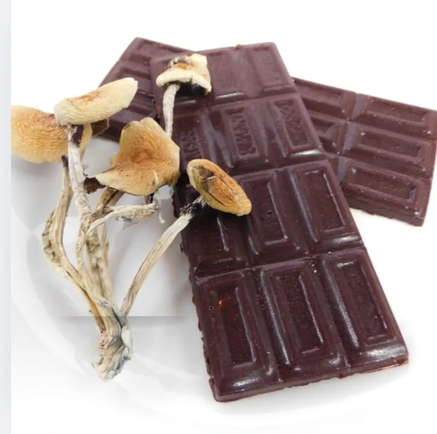 Chocohongo