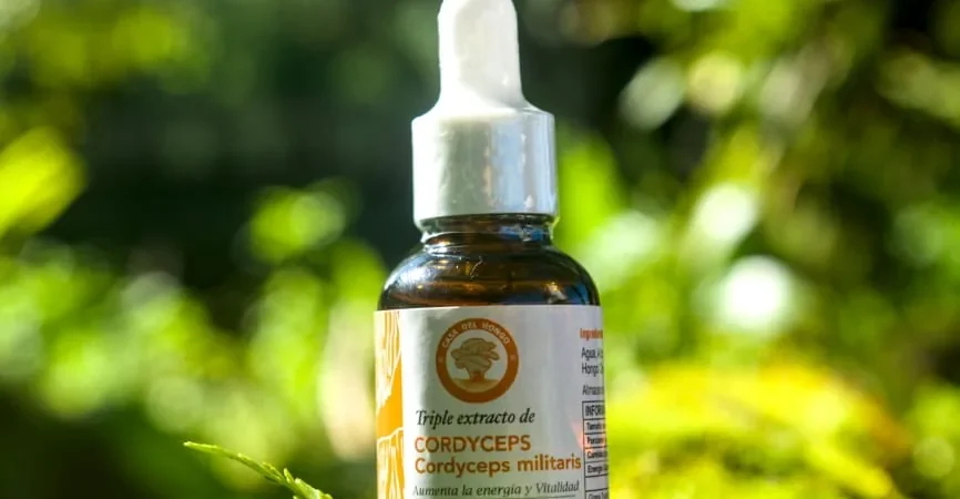 Beneficios del cordyceps para la energía y el rendimiento