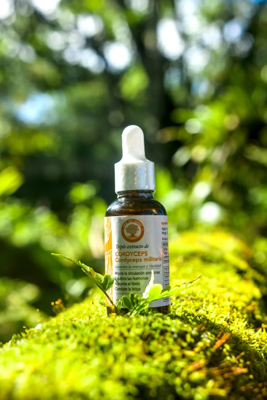 Beneficios del cordyceps para la energía y el rendimiento