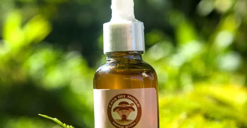 Beneficios del hongo Reishi: energía, estrés y sistema inmune
