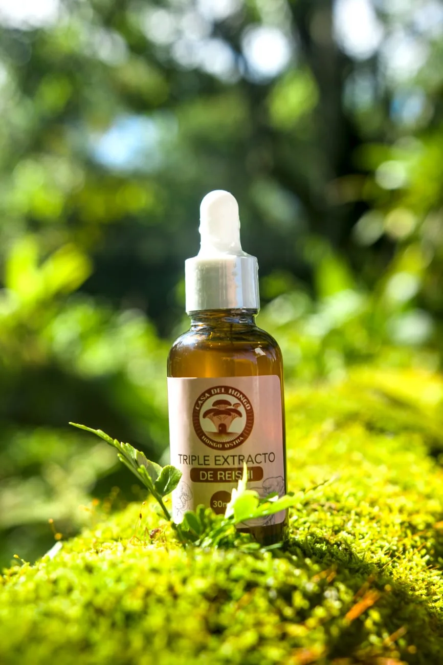 Beneficios del hongo Reishi: energía, estrés y sistema inmune