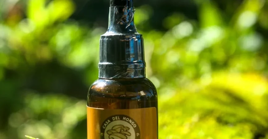 Shiitake: el hongo medicinal para el hígado, la digestión y las defensas